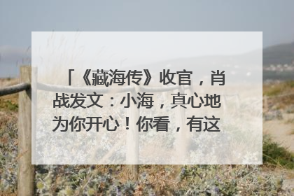 《藏海传》收官，肖战发文：小海，真心地为你开心！你看，有这么多人懂你！