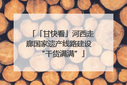 「甘快看」河西走廊国家遗产线路建设“干货满满”