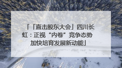 「直击股东大会」四川长虹：正视“内卷”竞争态势 加快培育发展新动能