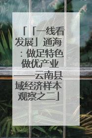 「一线看发展」通海：做足特色 做优产业——云南县域经济样本观察之二