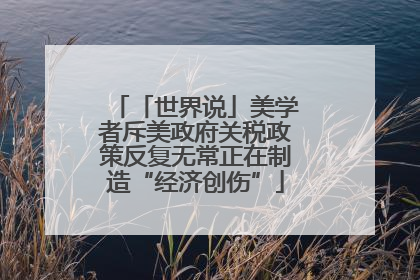 「世界说」美学者斥美政府关税政策反复无常正在制造“经济创伤”