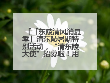 「东陵清风消夏季」清东陵暑期特别活动，“清东陵大使”招募啦！用你的热爱守护世界遗产！