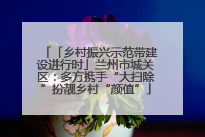 「乡村振兴示范带建设进行时」兰州市城关区：多方携手“大扫除”扮靓乡村“颜值”