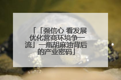 「强信心 看发展 优化营商环境争一流」一瓶胡麻油背后的产业密码