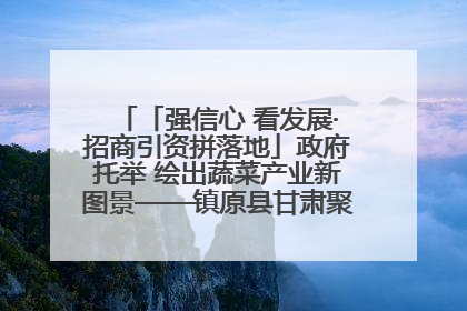 「强信心 看发展·招商引资拼落地」政府托举 绘出蔬菜产业新图景——镇原县甘肃聚广利现代设施蔬菜种植基地见闻