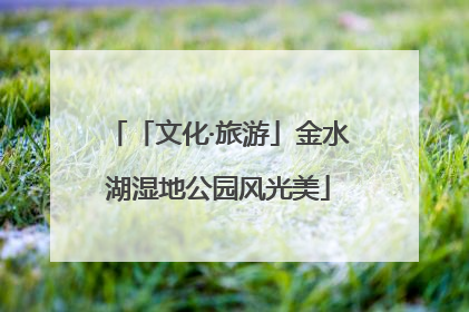 「文化·旅游」金水湖湿地公园风光美