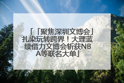 「聚焦深圳文博会」扎染玩转跨界！大理蓝续借力文博会斩获NBA等联名大单