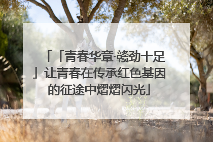 「青春华章·赣劲十足」让青春在传承红色基因的征途中熠熠闪光