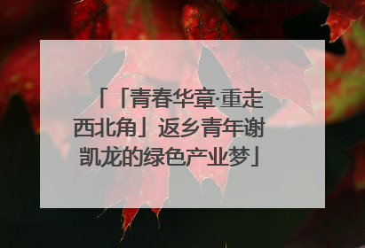 「青春华章·重走西北角」返乡青年谢凯龙的绿色产业梦