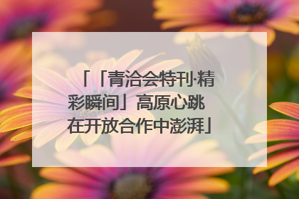 「青洽会特刊·精彩瞬间」高原心跳 在开放合作中澎湃