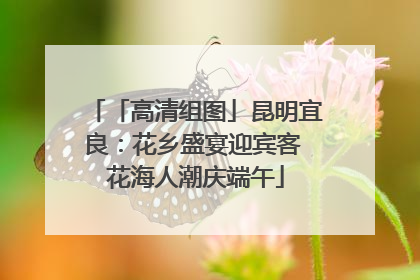 「高清组图」昆明宜良：花乡盛宴迎宾客 花海人潮庆端午