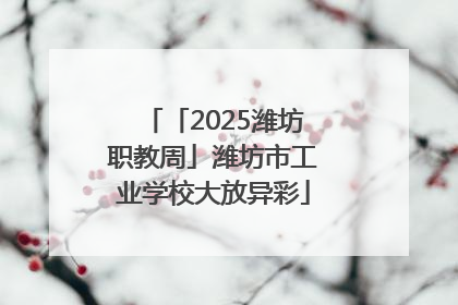 「2025潍坊职教周」潍坊市工业学校大放异彩