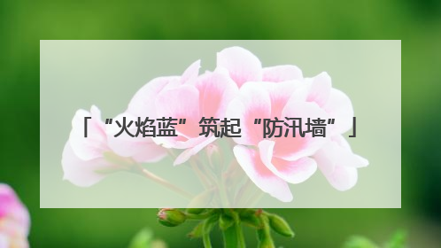 “火焰蓝”筑起“防汛墙”