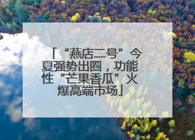 “燕店二号”今夏强势出圈，功能性“芒果香瓜”火爆高端市场