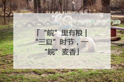 “皖”里有粮｜“三夏”时节，一“皖”麦香