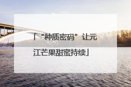 “种质密码”让元江芒果甜蜜持续
