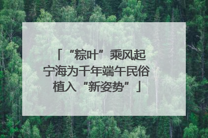 “粽叶”乘风起 宁海为千年端午民俗植入“新姿势”