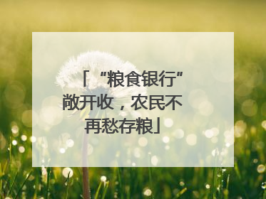 “粮食银行”敞开收，农民不再愁存粮