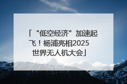 “低空经济”加速起飞！杨浦亮相2025世界无人机大会