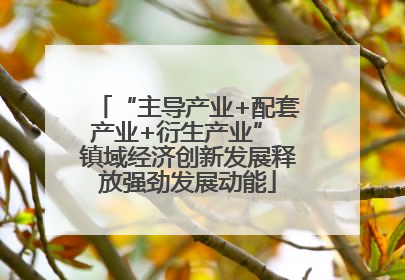 “主导产业+配套产业+衍生产业” 镇域经济创新发展释放强劲发展动能