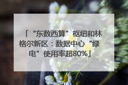 “东数西算”枢纽和林格尔新区：数据中心“绿电”使用率超80%