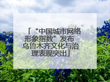 “中国城市网络形象指数”发布 乌鲁木齐文化与治理表现突出