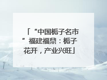 “中国栀子名市”福建福鼎：栀子花开，产业兴旺