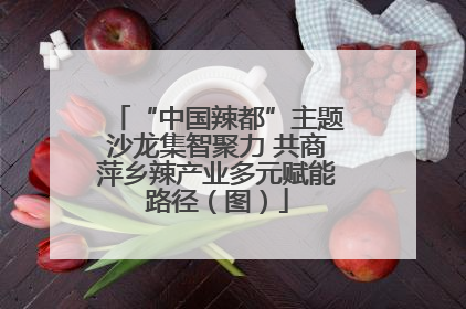 “中国辣都”主题沙龙集智聚力 共商萍乡辣产业多元赋能路径（图）