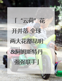 “云荷”花开并蒂 全球两大花都昆明&阿姆斯特丹强强联手