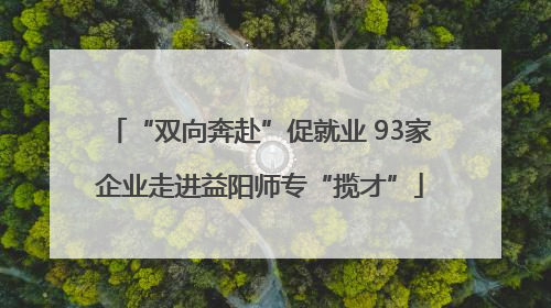 “双向奔赴”促就业 93家企业走进益阳师专“揽才”
