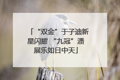 “双金”于子迪新星闪耀 “九冠”潘展乐如日中天