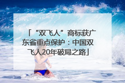 “双飞人”商标获广东省重点保护：中国双飞人20年破局之路