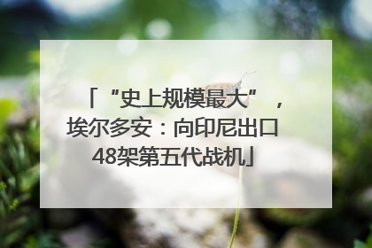 “史上规模最大”，埃尔多安：向印尼出口48架第五代战机