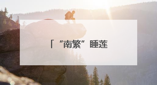 “南繁”睡莲竞相绽放 乡村振兴添色彩