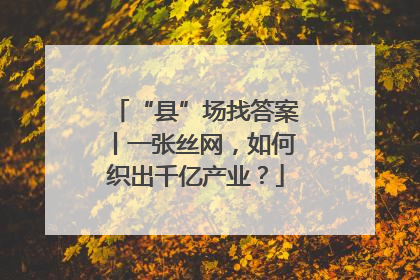“县”场找答案丨一张丝网，如何织出千亿产业？