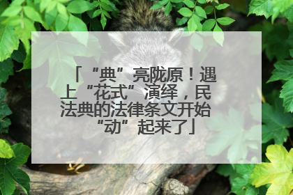“典”亮陇原！遇上“花式”演绎，民法典的法律条文开始“动”起来了