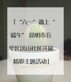 “六一”遇上“端午” 昆明市五华区团山社区开展精彩主题活动