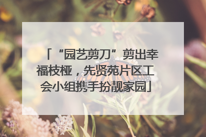 “园艺剪刀”剪出幸福枝桠，先贤苑片区工会小组携手扮靓家园