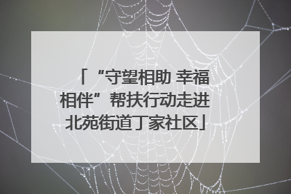 “守望相助 幸福相伴”帮扶行动走进北苑街道丁家社区