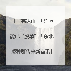 “完达山一号”可能已“脱单”！东北虎种群传来新喜讯
