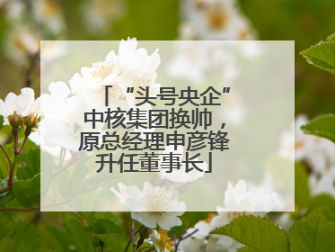 “头号央企”中核集团换帅，原总经理申彦锋升任董事长