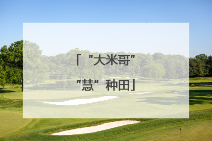 “大米哥”“慧”种田