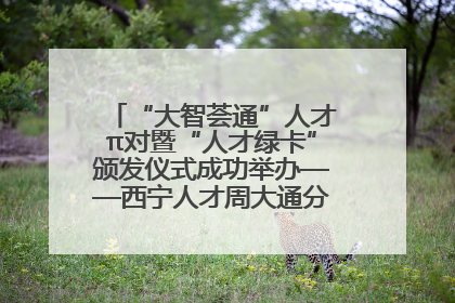 “大智荟通”人才π对暨“人才绿卡”颁发仪式成功举办——西宁人才周大通分会场亮点纷呈