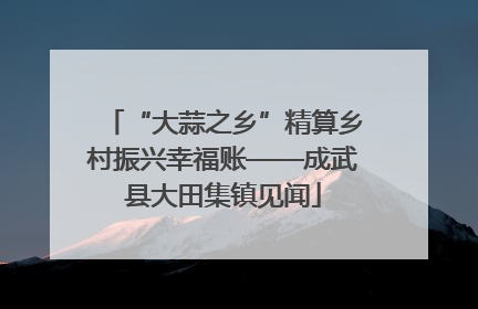 “大蒜之乡”精算乡村振兴幸福账——成武县大田集镇见闻