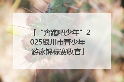 “奔跑吧少年”2025银川市青少年游泳锦标赛收官