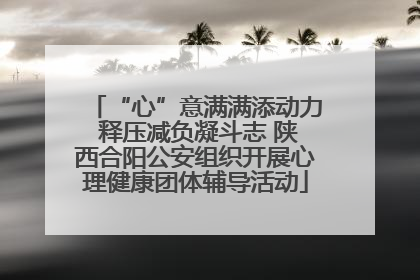 “心”意满满添动力 释压减负凝斗志 陕西合阳公安组织开展心理健康团体辅导活动