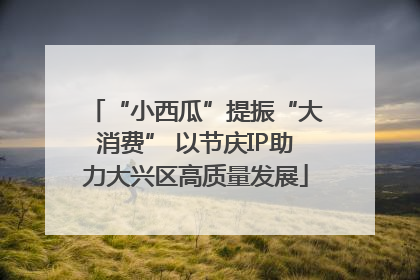 “小西瓜”提振“大消费” 以节庆IP助力大兴区高质量发展