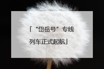 “岱岳号”专线列车正式起航
