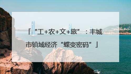 “工+农+文+旅”：丰城市镇域经济“蝶变密码”