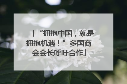 “拥抱中国，就是拥抱机遇！”多国商会会长呼吁合作